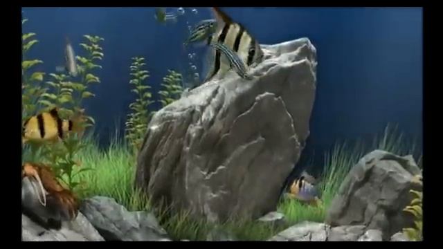 Dream Aquarium Screensaver смотреть онлайн