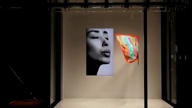 Hermès Store Window. Витрина Hermes