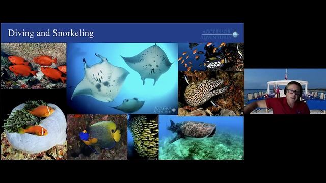 Maldives & Sri Lanka with Aggressor Adventures, Traveling Thursdays, Oct 28, 2021 смотреть онлайн
