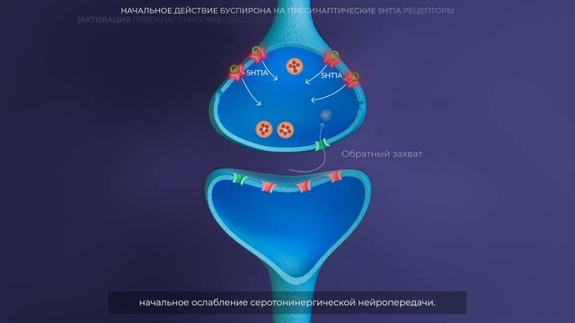 Спитомин (буспирон). Механизм действия смотреть онлайн