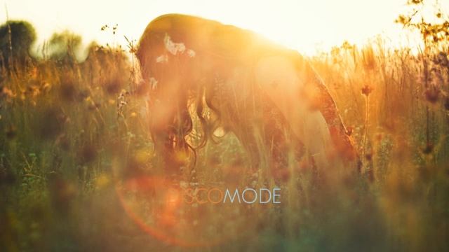 Kraak & Smaak - How We Gonna Stop The Time (Ft Stee Downes) ( Valique Remix) смотреть онлайн