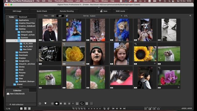 DPP 4 cz.1 DARMOWY program do edycji zdjęć i filmów w RAW, w darmowym pakiecie Canon EOS UTILITY смотреть онлайн