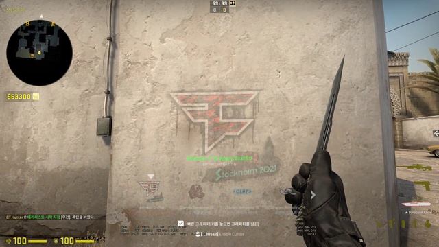 CS:GO STOCKHOLM 2021 Faze Clan Graffiti смотреть онлайн