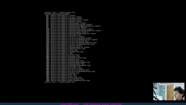 Installing Gentoo Linux with Systemd