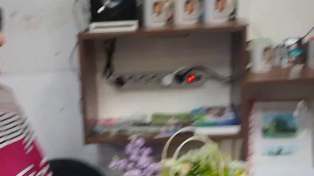 № 1810 Поздравления самарцев с 49 летием Школы долголетия смотреть онлайн
