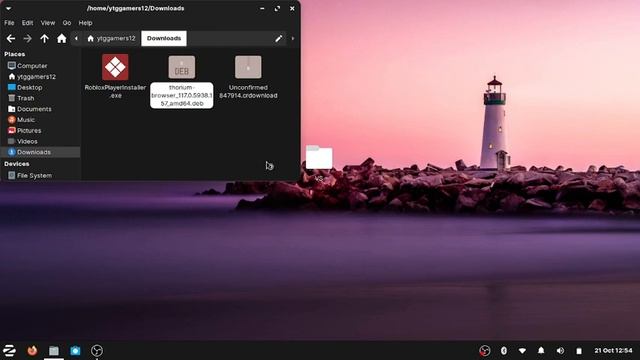 How To Install Thorium Browser In Zorin OS