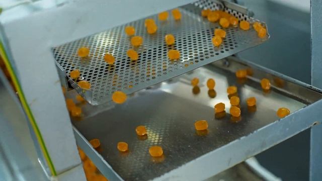 ПАРТНЕРЫ APL GO ИЗ США ВПЕРВЫЕ ПОСЕТИЛИ СОБСТВЕННОЕ ПРОИЗВОДСТВО КОМПАНИИ смотреть онлайн