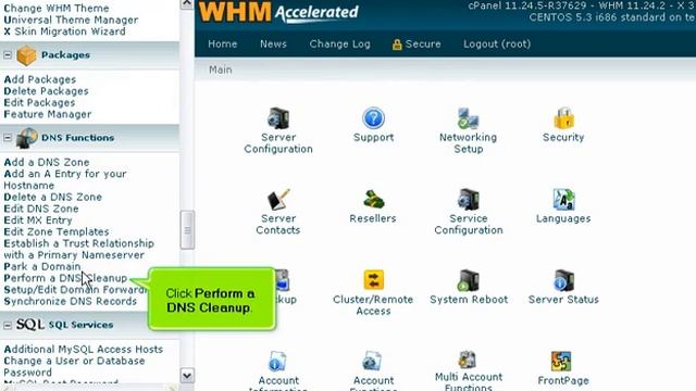 How to perform a DNS cleanup in WHM смотреть онлайн