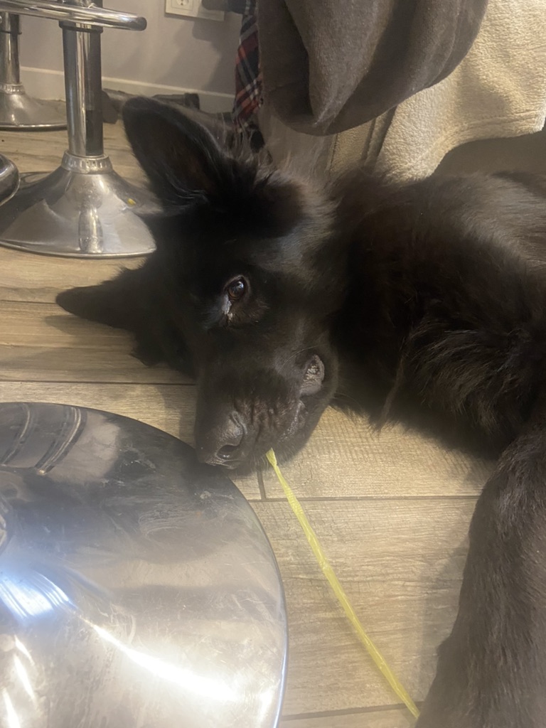 Бе ба смотреть онлайн