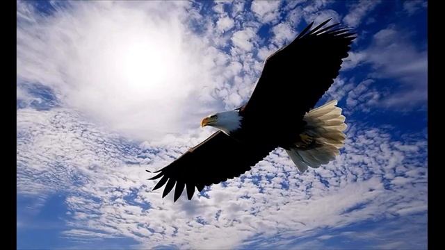 As Birds Flying ~ Biblical Antiquities ~ E. Raymond Capt смотреть онлайн