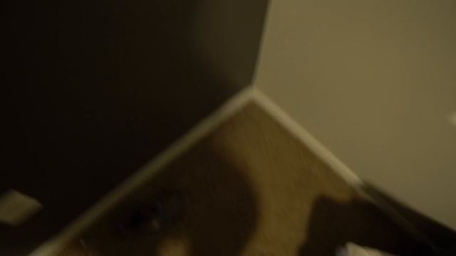 Were Being Evicted.......Look Out Homeless Shelter Here We Come смотреть онлайн