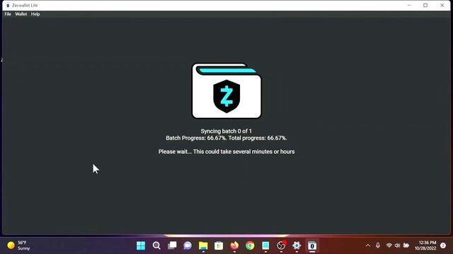 Zecwallet Lite on Windows Tutorial #1 смотреть онлайн