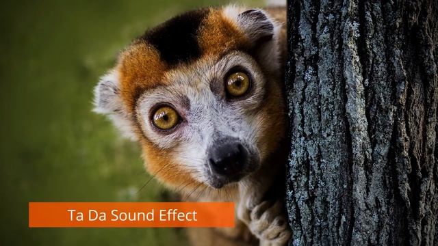 Ta Da Sound Effect смотреть онлайн