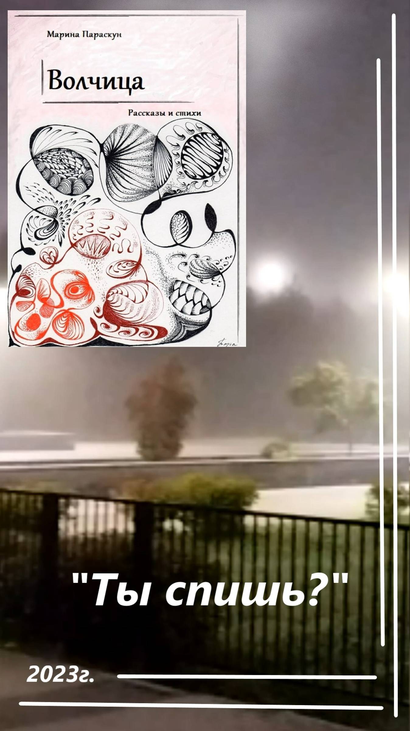 Проект "Твой выбор" #shorts смотреть онлайн