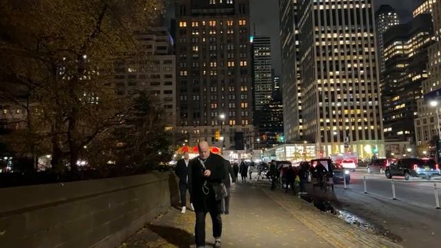 NYC Live 🎄 Holiday Windows 🌟 Vlogmas Day 8 #nyc #newyork #travel смотреть онлайн