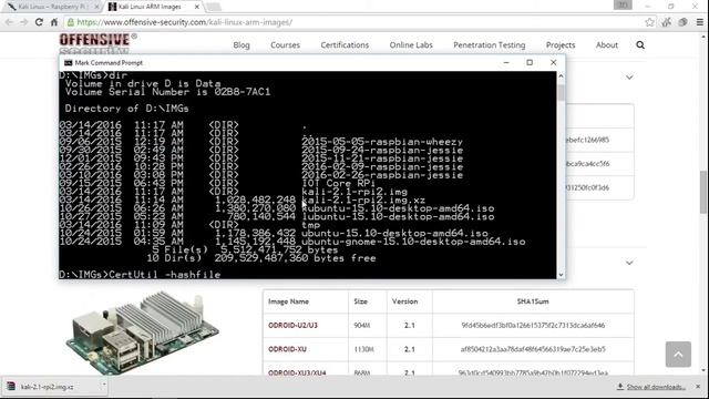Calculate SHA1 checksum using Certutil in Windows 10 смотреть онлайн