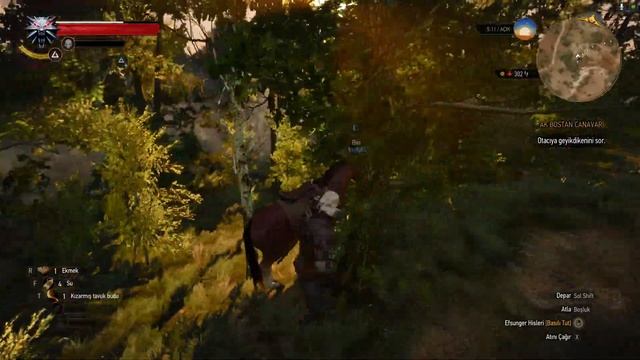 The Witcher 3 - Wild Hunt - Bölüm 2 - Griffin Avı - Türkçe смотреть онлайн
