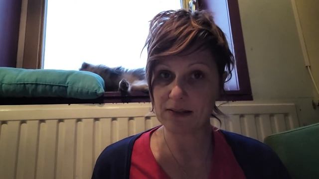 Brenda Chapman смотреть онлайн