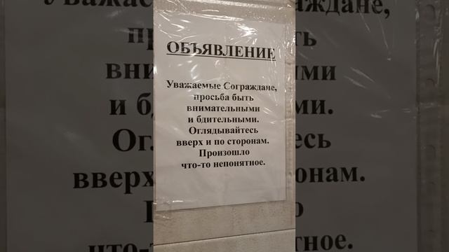 ПРОИЗОШЛО ЧТО-ТО НЕПОНЯТНОЕ... #funny #funnyvideo #fun смотреть онлайн