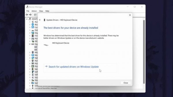 How to Update Keyboard Drivers on Windows 11 PC