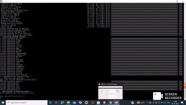 MSYS2 setup installation and MINGW compiler смотреть онлайн