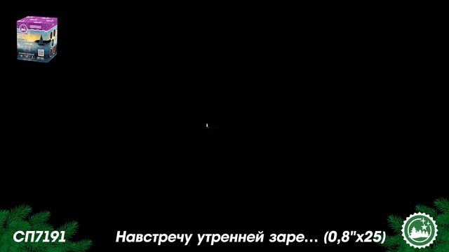 СП7191 смотреть онлайн