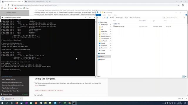 Getting Started With Webin-CLI on Windows 10 смотреть онлайн