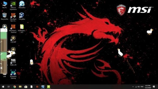 The desktop goose infection-The goose ruined my computer!!!