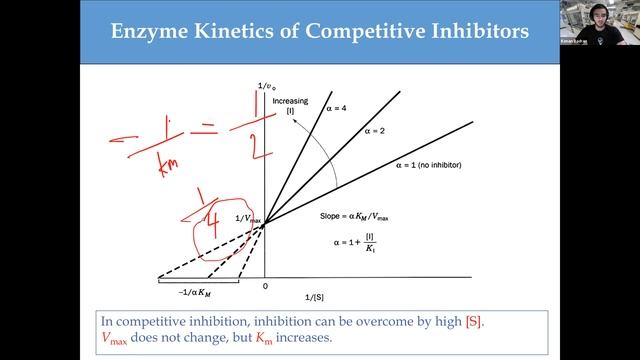 Enzyme Kinetics I Kenan Badran I MOL 125 PAL review session смотреть онлайн