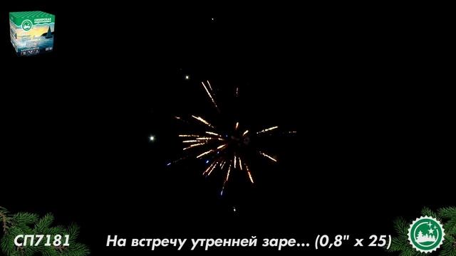 СП7181 смотреть онлайн