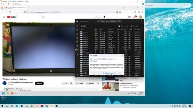 Windows 11 X Lite BSOD VM смотреть онлайн