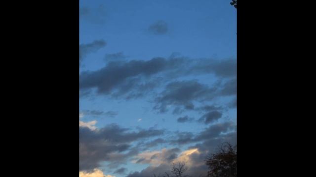 "Sign On The Window (says lonely)" (arrangement R Talley) 8 19 14 смотреть онлайн