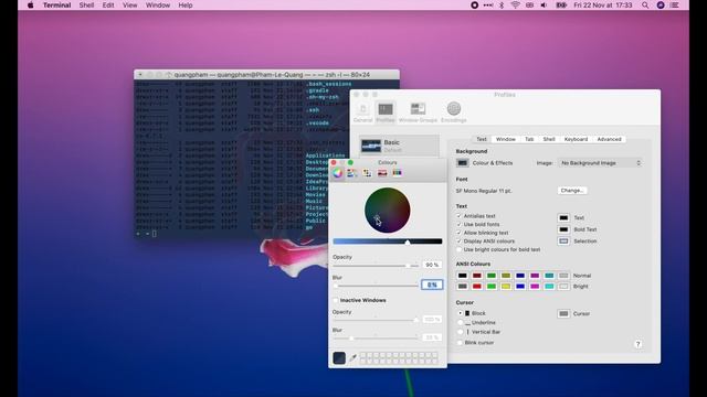 How to make a beautiful terminal with Oh My Zsh! смотреть онлайн