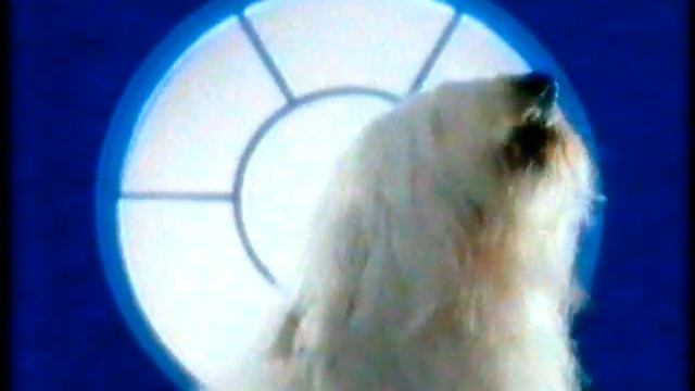 Dulux advert - UK - dog singing My Way смотреть онлайн