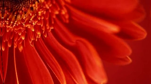 Effects in Windows Movie Maker 6 0 6 смотреть онлайн