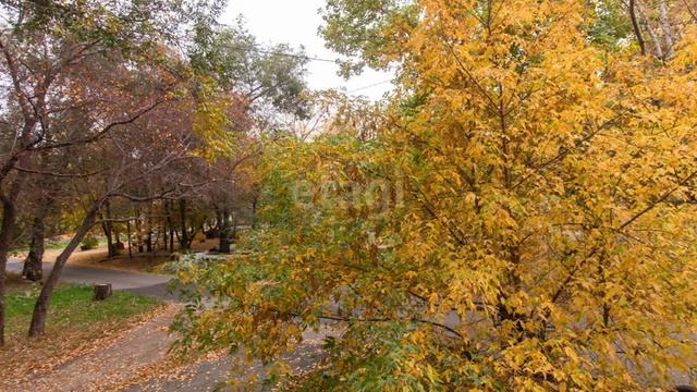 11533655 смотреть онлайн