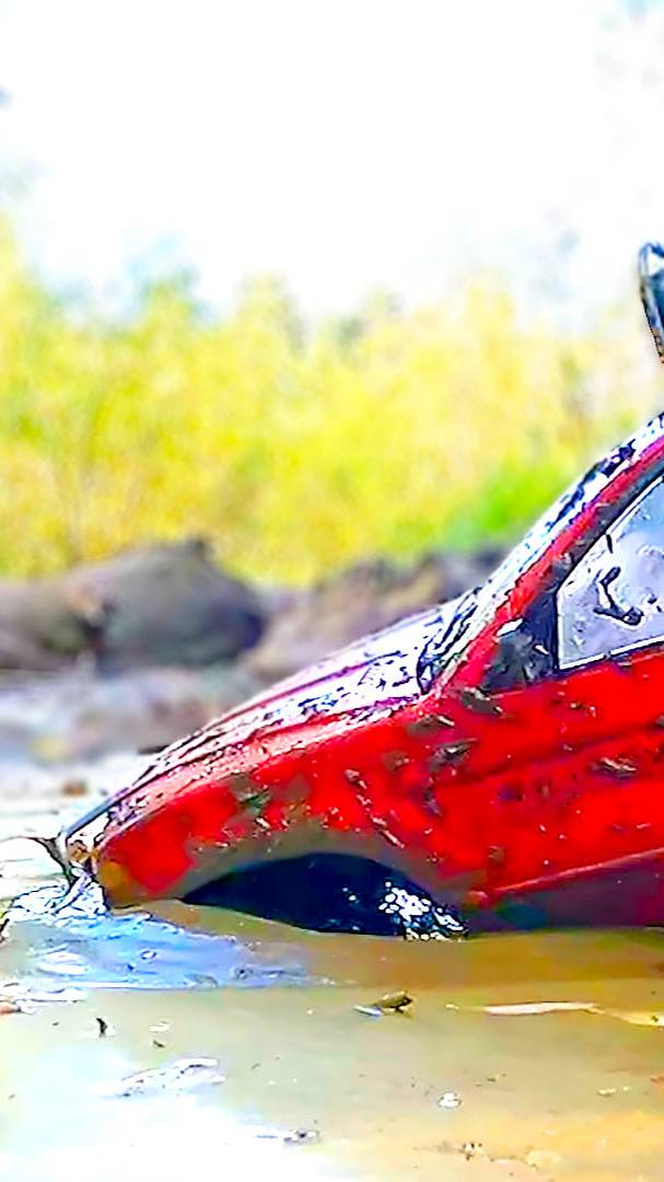 Гонки по лужам и грязи смотреть онлайн