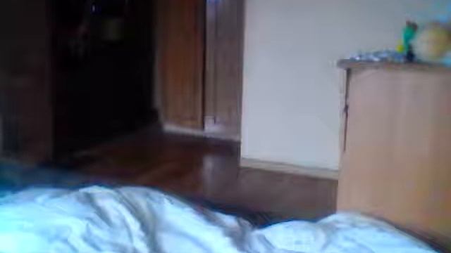 собака Вайс играется новой игрушкой смотреть онлайн