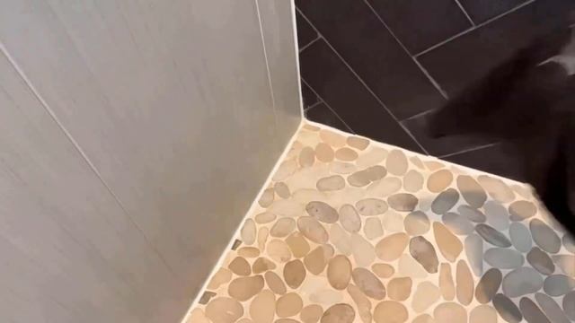 Best Shower Cleaner For Hard Water Stains - Quickly Clean Your Shower смотреть онлайн