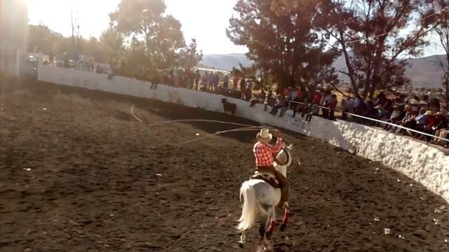 Otro toro de la satánica en la guadalupana de Santiaguito valla despegada. смотреть онлайн
