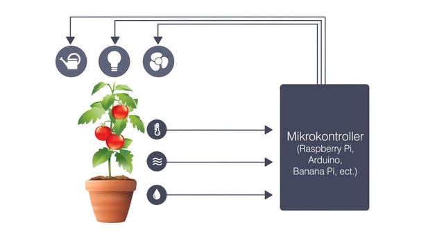 How's my plant? - English version смотреть онлайн