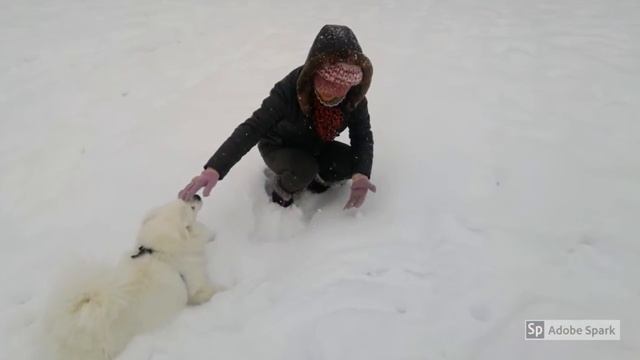 Weekend in park. 用Adobe Spark做幻灯照片切换秀 смотреть онлайн