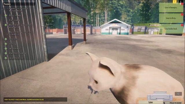 Animal Shelter Simulator - Episode 36 Kitten Caboodle! смотреть онлайн