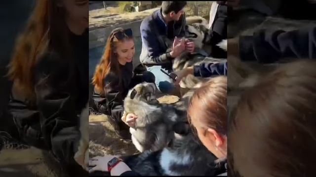 Институт прокуратуры смотреть онлайн