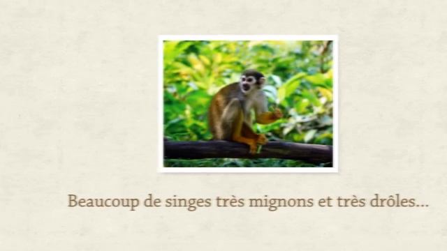 Adobe Spark Video example смотреть онлайн