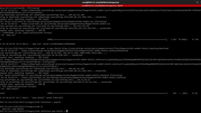 Install a VM Using the Command Line смотреть онлайн