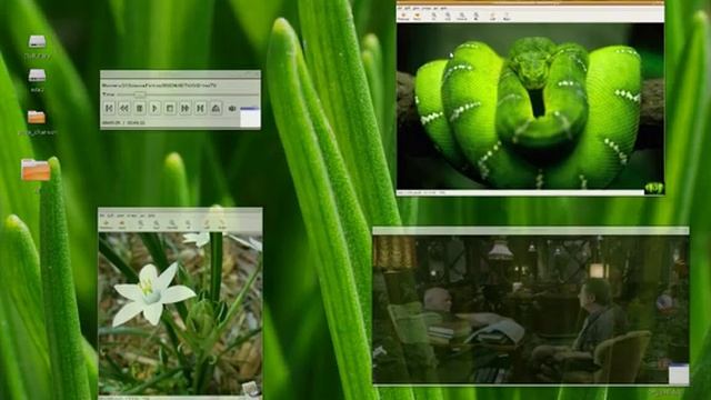 Cypress - Beryl-ul din Ubuntu смотреть онлайн