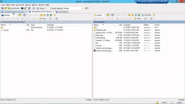 WinSCP File Transfer | WinSCP Tutorial | How To Use WinSCP To Transfer Files | How To Use WinSCP смотреть онлайн