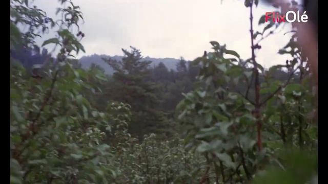 Demonios en el jardín (Manuel Gutiérrez Aragón, 1982) смотреть онлайн