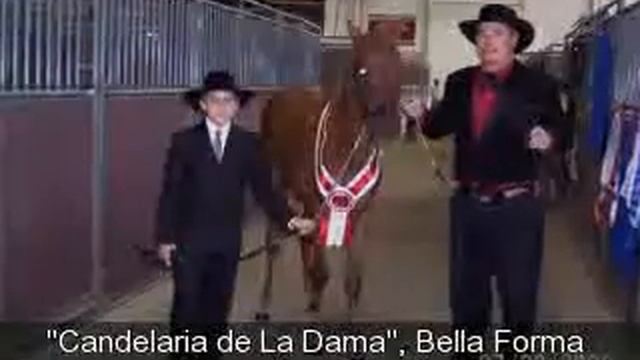 Rancho de La Dama смотреть онлайн